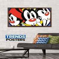 Animaniacs - Faces Tall Poster, 22.375 34