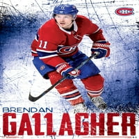 Montreal Canadiens - Brendan Gallagher Wall Poster, 22.375 34