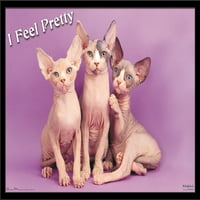Кийт Кимбърлин - котенца - Плакат за стена на Pretty Kitty с бутални щифтове, 14.725 22.375