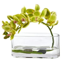 Почти естествена Фаленопсис Орхидея изкуствено подреждане в стъклена ваза