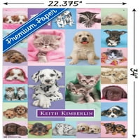 Кийт Кимбърлин - Плакат за стена на кученца и котенца с бутални щифтове, 22.375 34